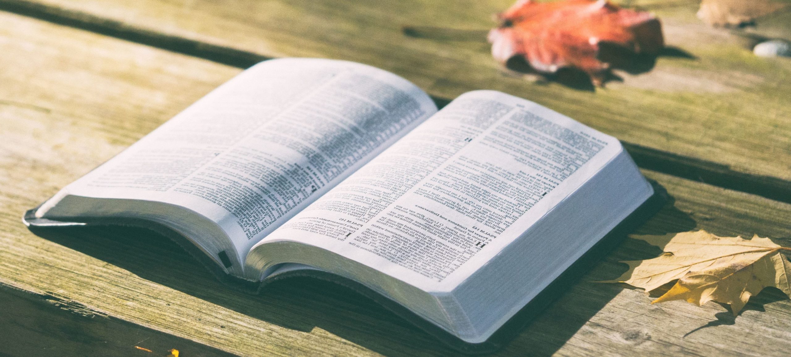 De vreugde van het Evangelie leren ervaren